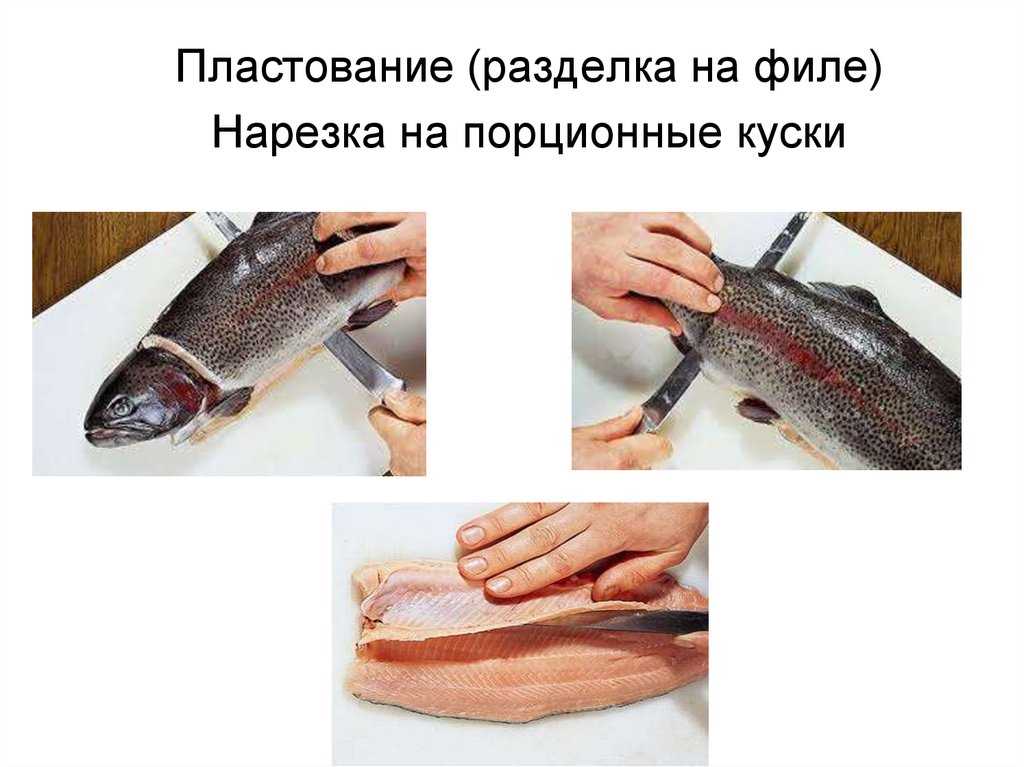 Блюда из рыбы и нерыбных продуктов моря Блюда из рыбы и нерыбных продуктов моря