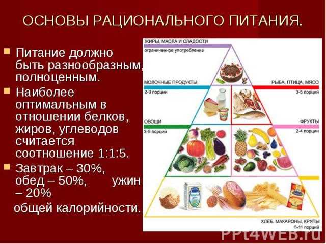 Основы рационального питания Основы рационального питания