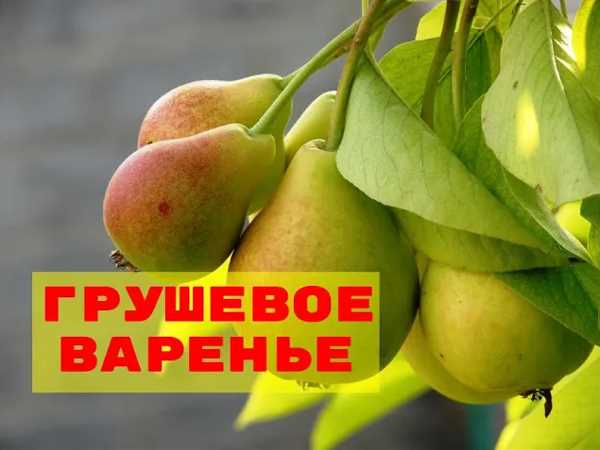 Правильная упаковка и хранение